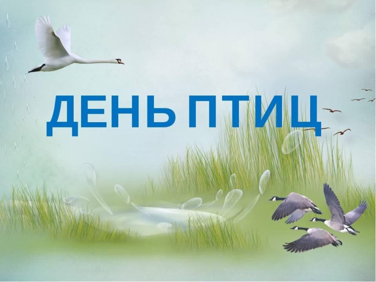 День птиц.